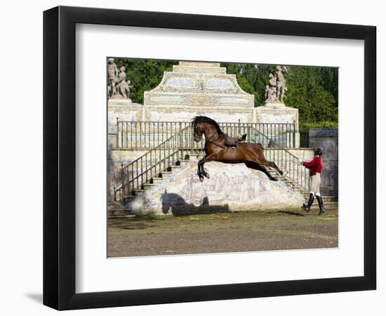 Lusitano Horse, Man Training Stallion In Dressage Steps, The High Leap-Carol Walker-Framed Photographic Print