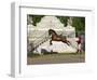 Lusitano Horse, Man Training Stallion In Dressage Steps, The High Leap-Carol Walker-Framed Photographic Print