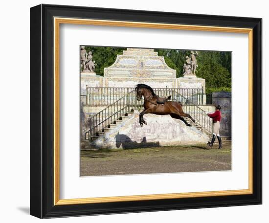 Lusitano Horse, Man Training Stallion In Dressage Steps, The High Leap-Carol Walker-Framed Photographic Print