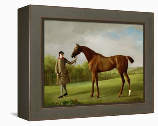 Lustre, Held by a Groom, c.1760-62-George Stubbs-Framed Premier Image Canvas