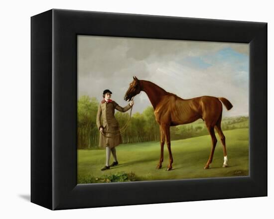 Lustre, Held by a Groom, c.1760-62-George Stubbs-Framed Premier Image Canvas