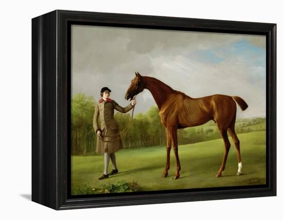 Lustre, Held by a Groom, c.1760-62-George Stubbs-Framed Premier Image Canvas