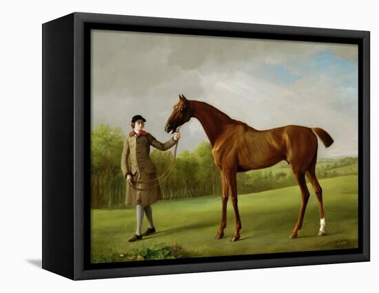 Lustre, Held by a Groom, c.1760-62-George Stubbs-Framed Premier Image Canvas