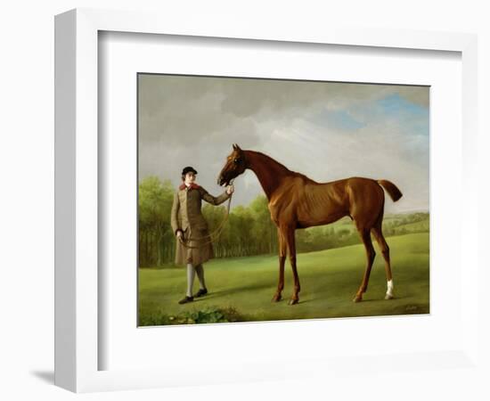 Lustre, Held by a Groom, c.1760-62-George Stubbs-Framed Giclee Print