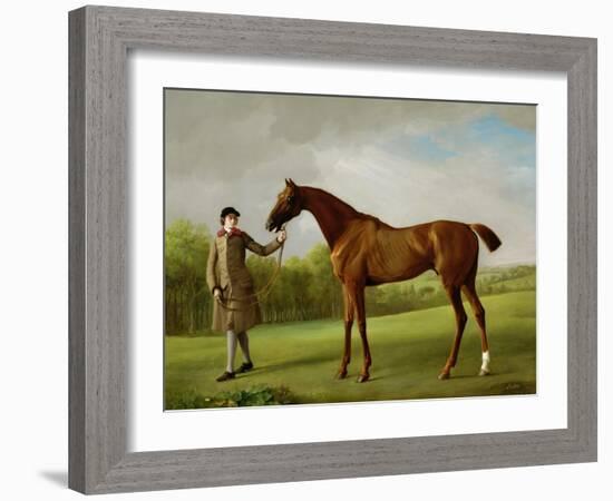 Lustre, Held by a Groom, c.1760-62-George Stubbs-Framed Giclee Print