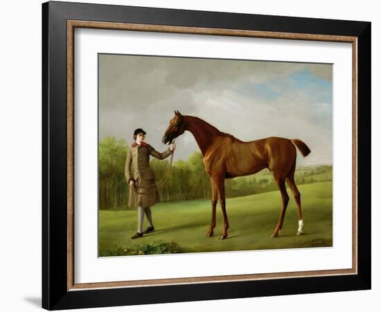 Lustre, Held by a Groom, c.1760-62-George Stubbs-Framed Giclee Print