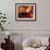 Lustrous Season-Nancy Ortenstone-Framed Art Print displayed on a wall