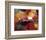 Lustrous Season-Nancy Ortenstone-Framed Art Print