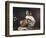 Lute-Player, C1595-Caravaggio-Framed Giclee Print