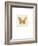 Luxe Butterfly-Morgan Yamada-Framed Premium Giclee Print