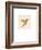 Luxe Hummingbird-Morgan Yamada-Framed Premium Giclee Print