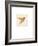 Luxe Hummingbird-Morgan Yamada-Framed Premium Giclee Print