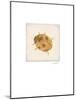 Luxe Ladybug-Morgan Yamada-Mounted Premium Giclee Print