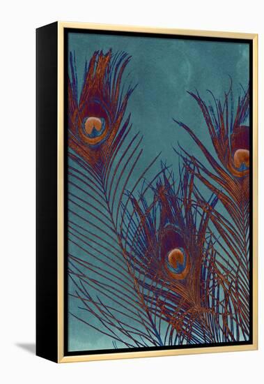 Luxe Plumes I-Jason Johnson-Framed Stretched Canvas