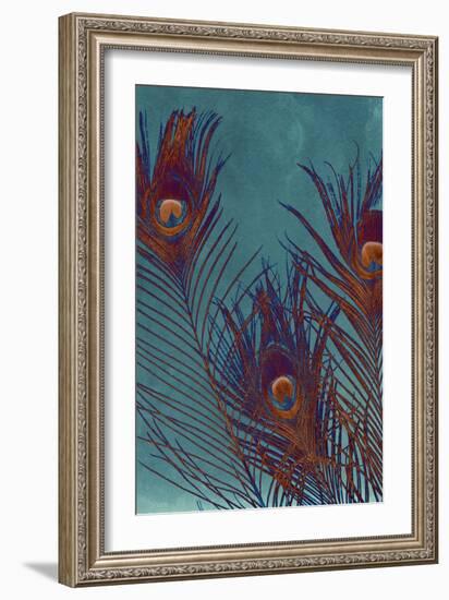 Luxe Plumes I-Jason Johnson-Framed Art Print