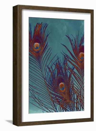 Luxe Plumes I-Jason Johnson-Framed Art Print