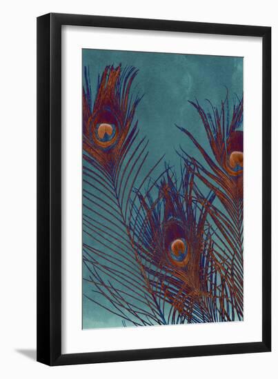 Luxe Plumes I-Jason Johnson-Framed Art Print