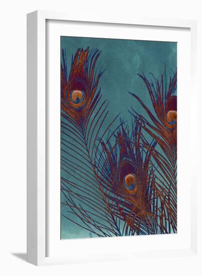 Luxe Plumes I-Jason Johnson-Framed Art Print