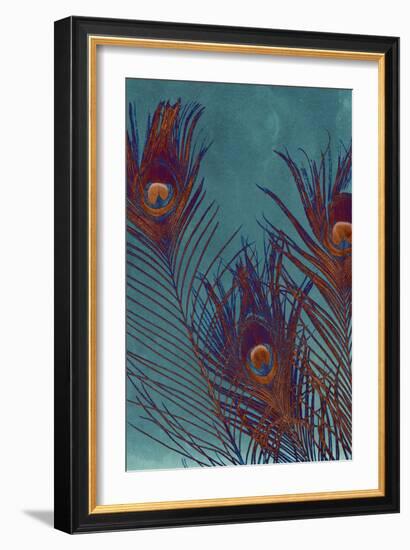 Luxe Plumes I-Jason Johnson-Framed Art Print