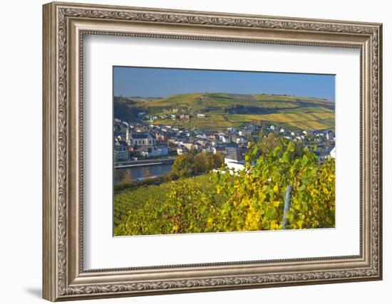 Luxembourg, Remich, Townscape, Vineyards, Autumn Colours-Chris Seba-Framed Photographic Print
