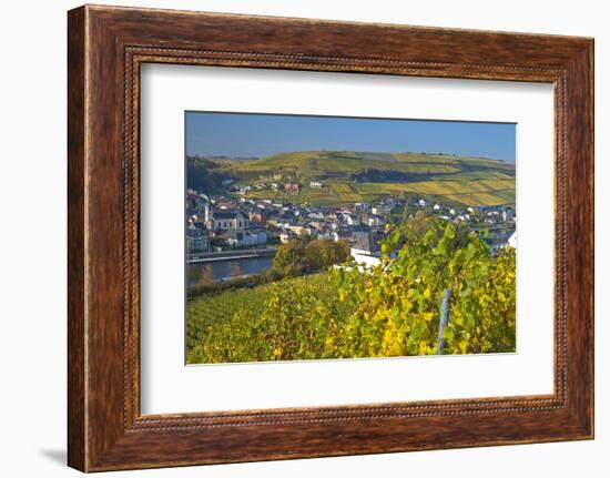 Luxembourg, Remich, Townscape, Vineyards, Autumn Colours-Chris Seba-Framed Photographic Print