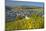 Luxembourg, Remich, Townscape, Vineyards, Autumn Colours-Chris Seba-Mounted Photographic Print