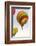 Luxor, Egypt. Hot air balloons taking tourist for a ride.-Emily Wilson-Framed Photographic Print