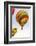 Luxor, Egypt. Hot air balloons taking tourist for a ride.-Emily Wilson-Framed Photographic Print