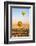 Luxor, Egypt. Hot air balloons taking tourist for a ride.-Emily Wilson-Framed Photographic Print