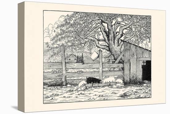 Stretched Canvas Print, , large