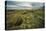 Luxuriant Landscape-Andrew Geiger-Framed Stretched Canvas