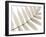 Luxurious Leaves-Assaf Frank-Framed Giclee Print