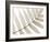 Luxurious Leaves-Assaf Frank-Framed Giclee Print