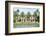 Luxurious Mansion by the Seaside on Star Island, Miami, Home of the Rich and Famous-Kamira-Framed Photographic Print