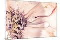 Premium Photographic Print