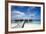 Luxury Hotel in Tropical Island-nitrogenic.com-Framed Photographic Print