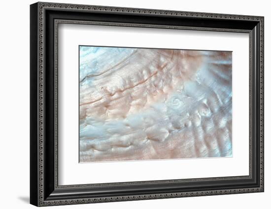 Luxury Nacre Seashell Background Texture close Up-Elen11-Framed Photographic Print