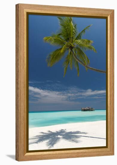 Luxury Over-Water Bungalow at Gili Lankanfushi Resort Maldives and Beach with Palm Trees-Sakis Papadopoulos-Framed Premier Image Canvas