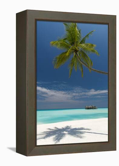 Luxury Over-Water Bungalow at Gili Lankanfushi Resort Maldives and Beach with Palm Trees-Sakis Papadopoulos-Framed Premier Image Canvas