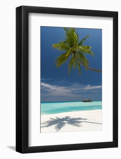 Luxury Over-Water Bungalow at Gili Lankanfushi Resort Maldives and Beach with Palm Trees-Sakis Papadopoulos-Framed Photographic Print