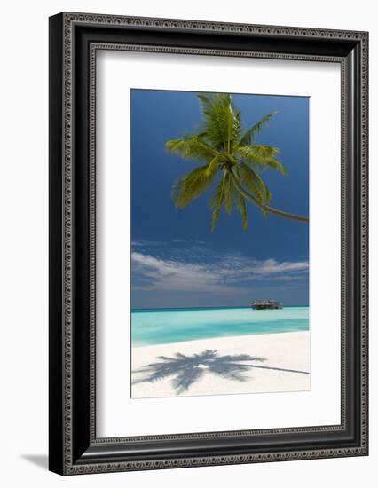 Luxury Over-Water Bungalow at Gili Lankanfushi Resort Maldives and Beach with Palm Trees-Sakis Papadopoulos-Framed Photographic Print