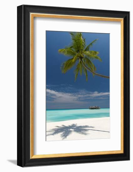 Luxury Over-Water Bungalow at Gili Lankanfushi Resort Maldives and Beach with Palm Trees-Sakis Papadopoulos-Framed Photographic Print