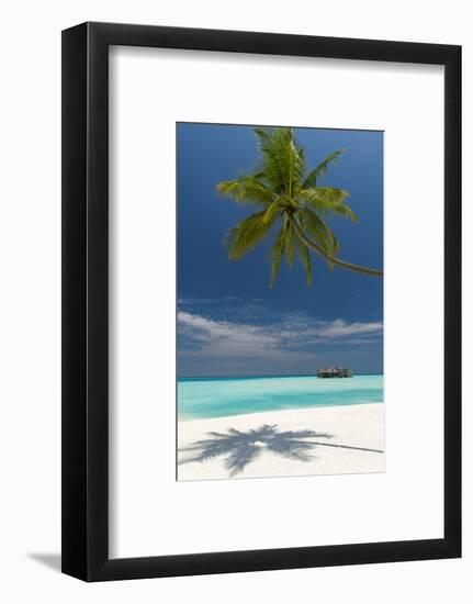 Luxury Over-Water Bungalow at Gili Lankanfushi Resort Maldives and Beach with Palm Trees-Sakis Papadopoulos-Framed Photographic Print