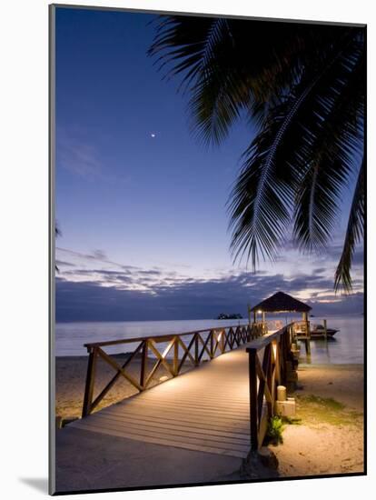 Luxury Resort, Malolo Island, Mamanuca Group, Fiji-Michele Falzone-Mounted Photographic Print