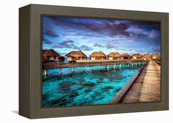 Luxury Resort, Many Cute Bungalow on the Water, Amazing View, Beautiful Coral under Transparent Wat-Anna Omelchenko-Framed Premier Image Canvas