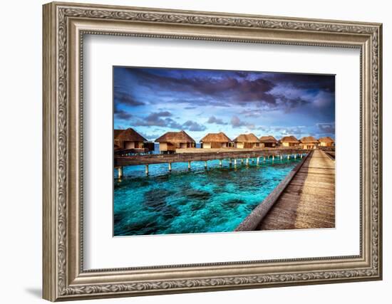 Luxury Resort, Many Cute Bungalow on the Water, Amazing View, Beautiful Coral under Transparent Wat-Anna Omelchenko-Framed Photographic Print