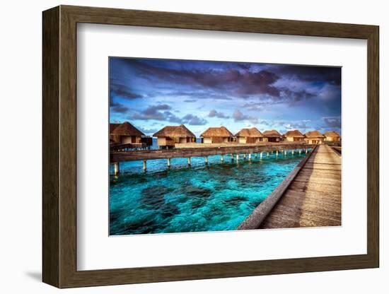 Luxury Resort, Many Cute Bungalow on the Water, Amazing View, Beautiful Coral under Transparent Wat-Anna Omelchenko-Framed Photographic Print