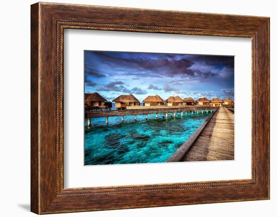 Luxury Resort, Many Cute Bungalow on the Water, Amazing View, Beautiful Coral under Transparent Wat-Anna Omelchenko-Framed Photographic Print