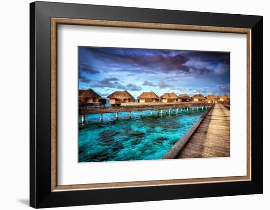 Luxury Resort, Many Cute Bungalow on the Water, Amazing View, Beautiful Coral under Transparent Wat-Anna Omelchenko-Framed Photographic Print