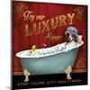 Luxury Soaps-Conrad Knutsen-Mounted Art Print